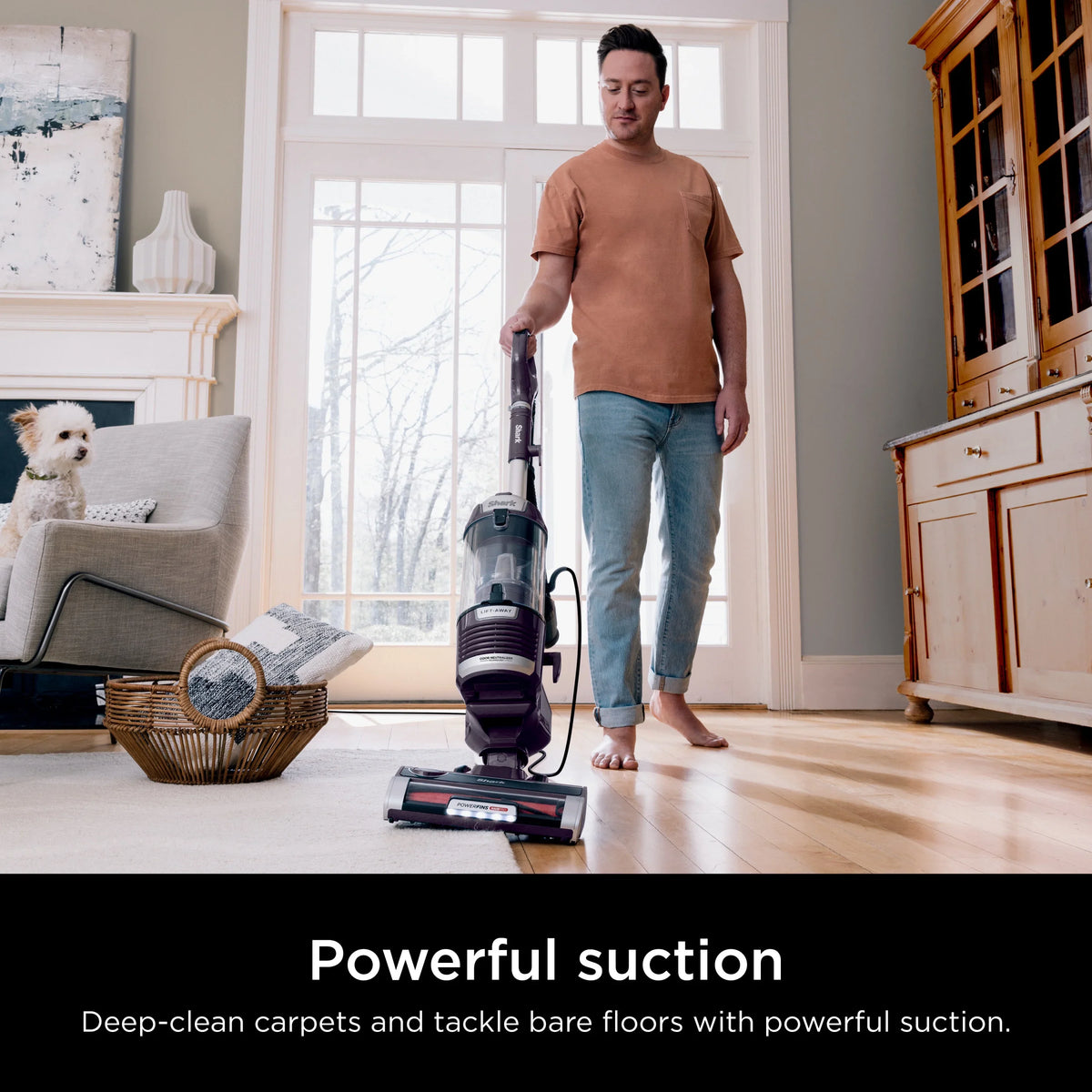 Shark Upright Vacuum, Lift-Away, Pet Friendly, Bagless, PowerFins HairPro & Odor Neutralizer Technology, Hard Floor and Carpet, Self Cleaning Brushroll, Anti Allergen &Swivel Steering , ZD550, Purple