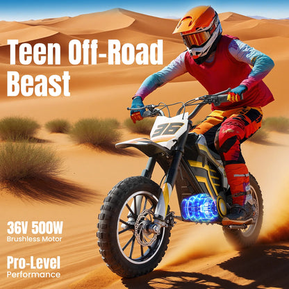 QEASET electric dirt bike, 500W kids dirt bike for Boys Girls Age 8-14, Blue