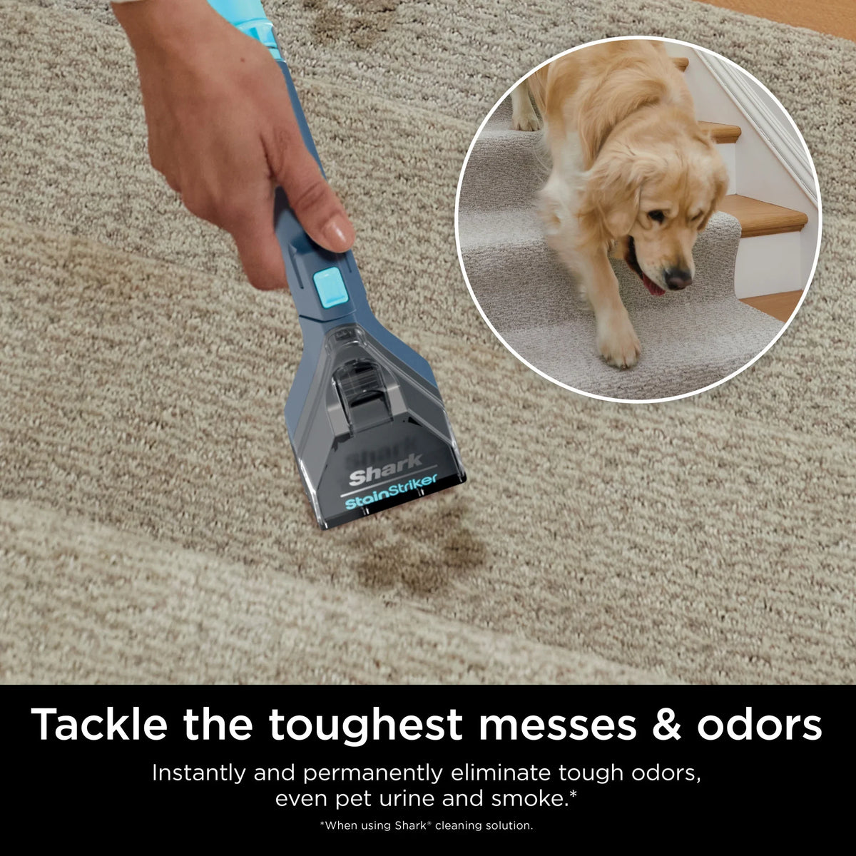 Shark StainStriker Carpet and Upholstery Cleaner, Portable with 2 Tools, 6oz Deep Clean Pro Formula and 12oz OXY Multiplier Formula, PX200 Navy/White